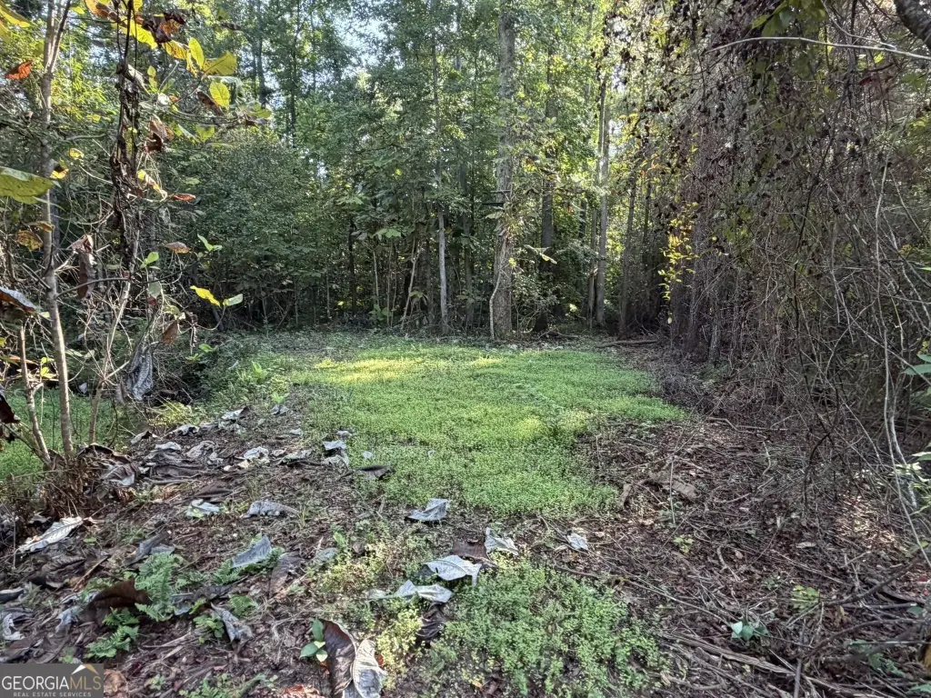 Picture 40