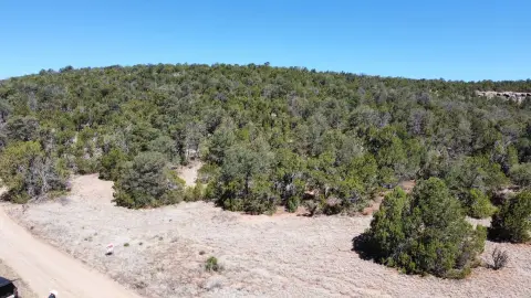 Wooded Recreation Land
