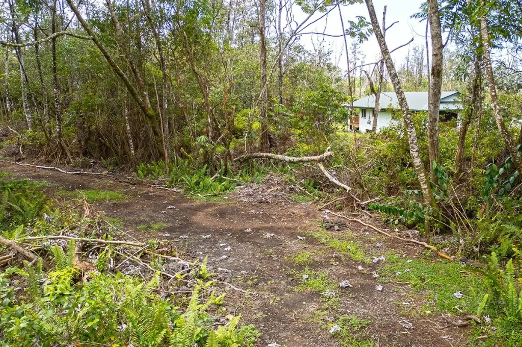 Picture 7