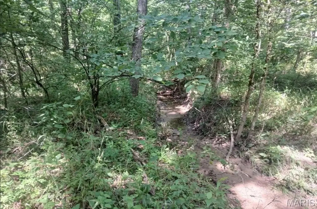 Picture 16
