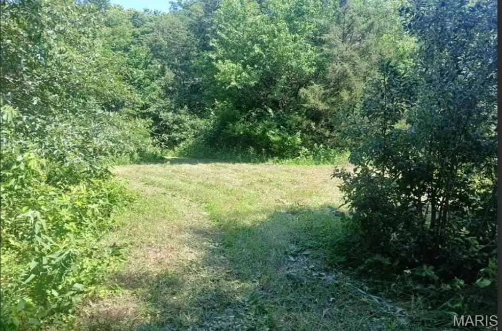 Picture 12