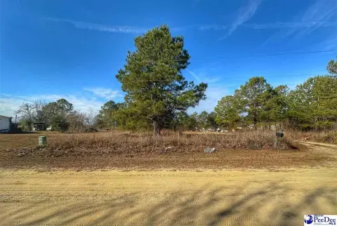 Residential Lot in Latta, SC