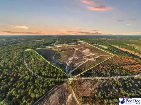 142 Acres Prime Real Estate
