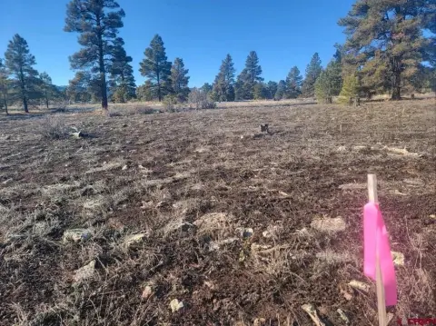 Mountain View Land Parcel