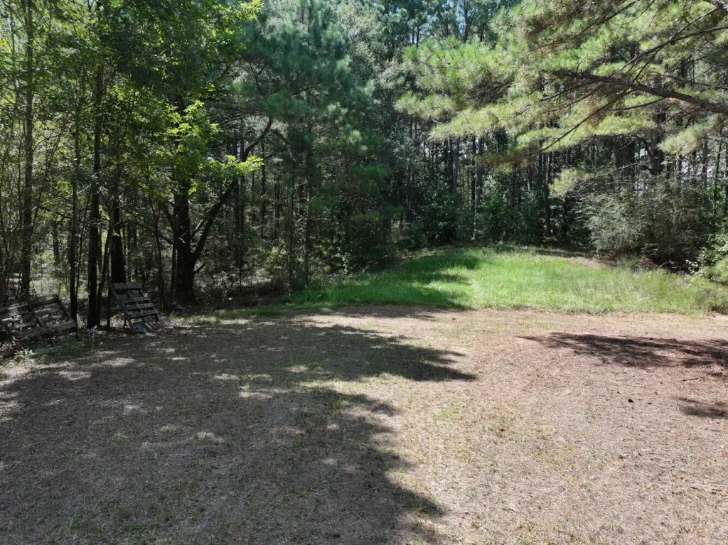 Picture 28