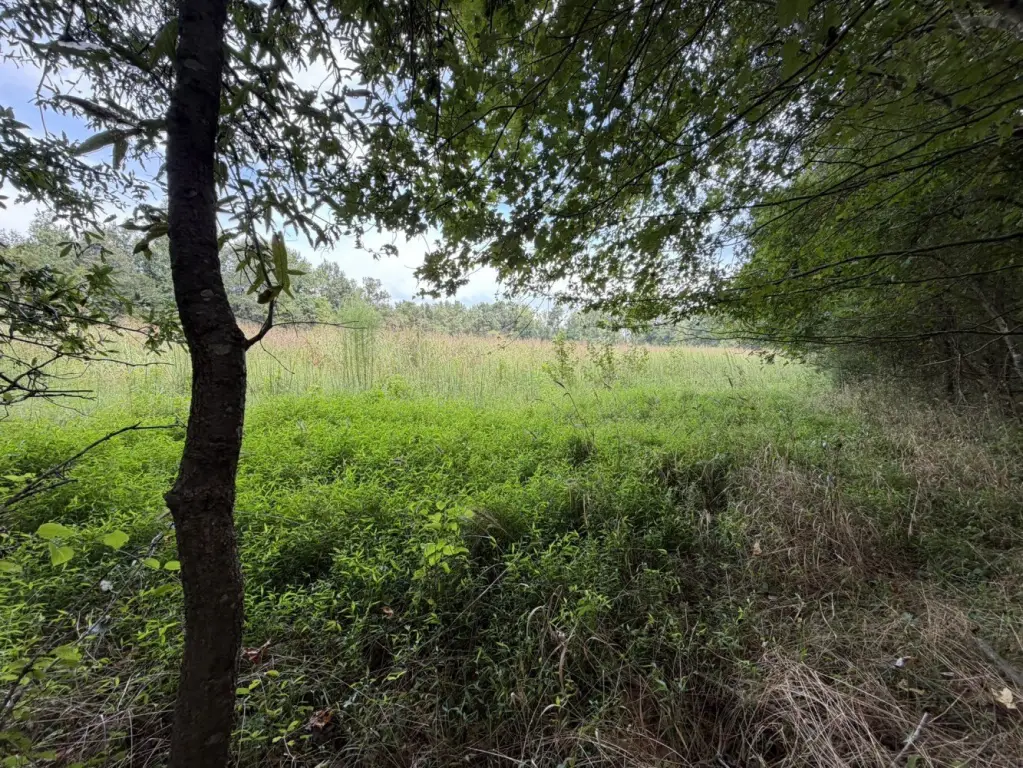 Picture 16