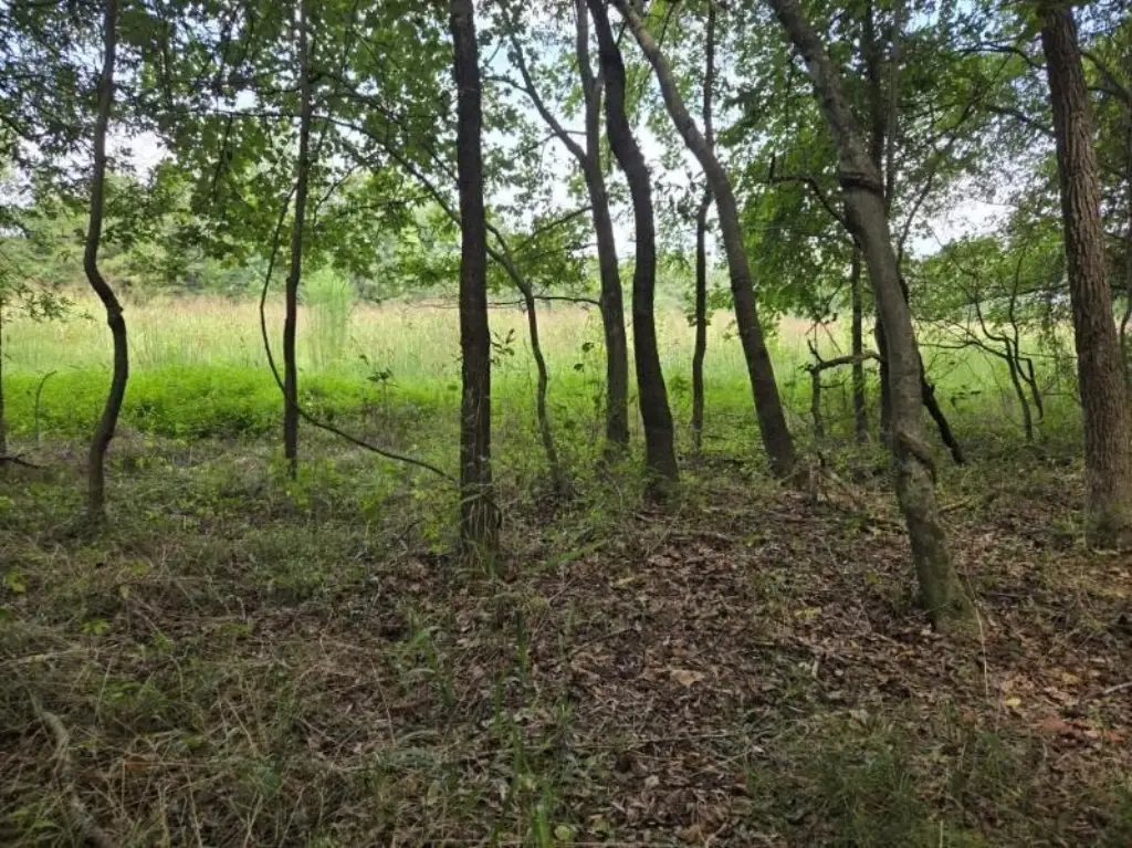 Picture 11
