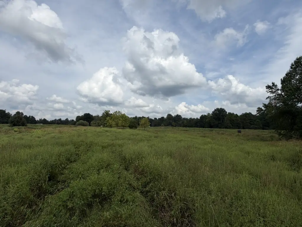 Picture 22