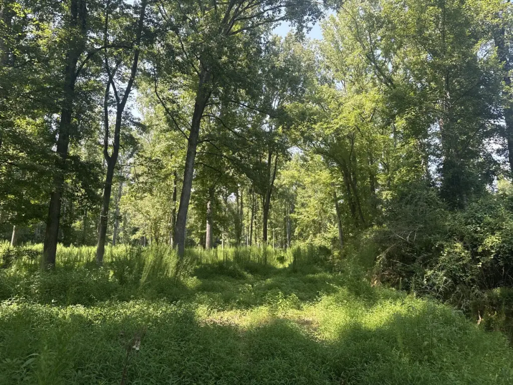 Picture 27