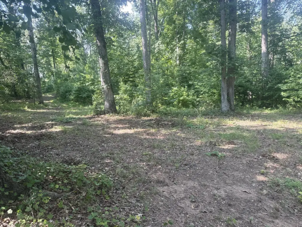 Picture 22