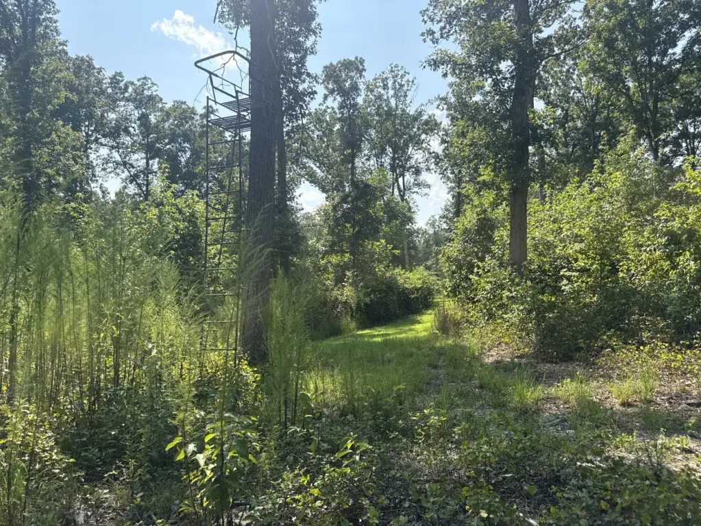 Picture 17