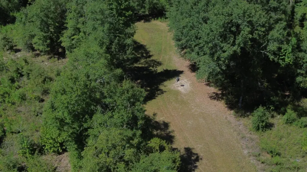 Picture 4