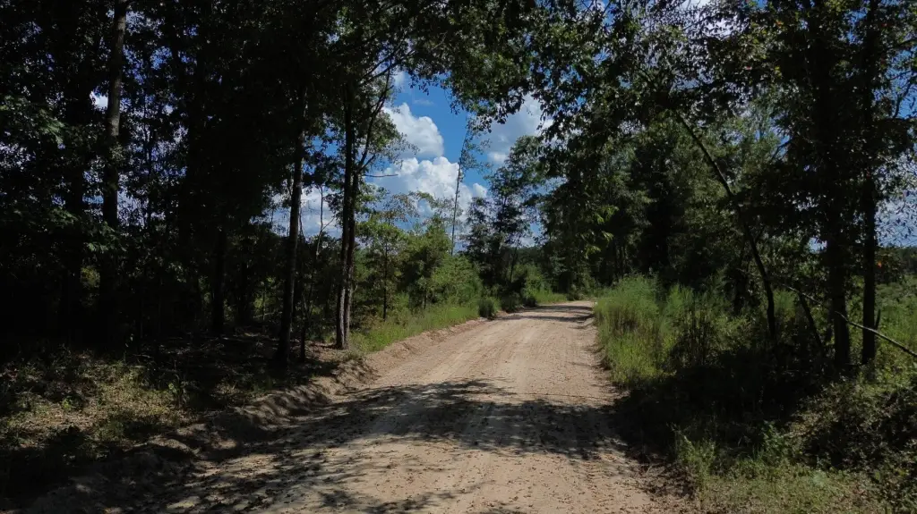 Picture 17