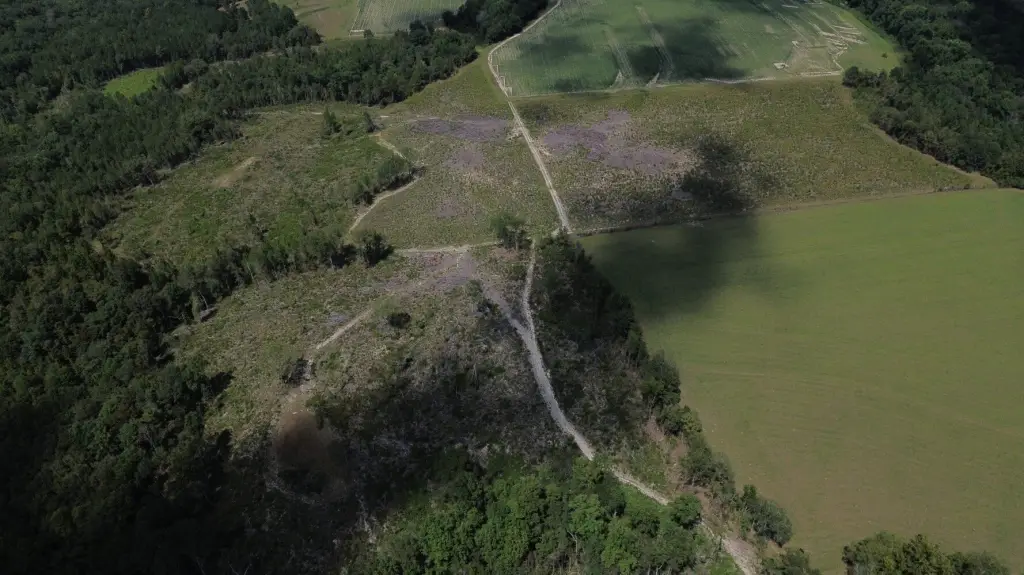 Picture 9