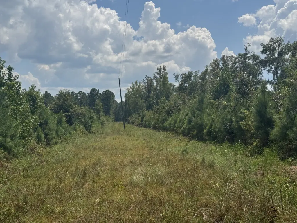Picture 20