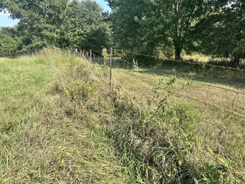 Picture 15