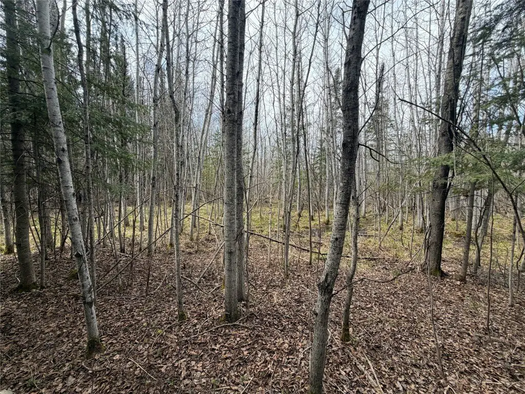 Picture 7