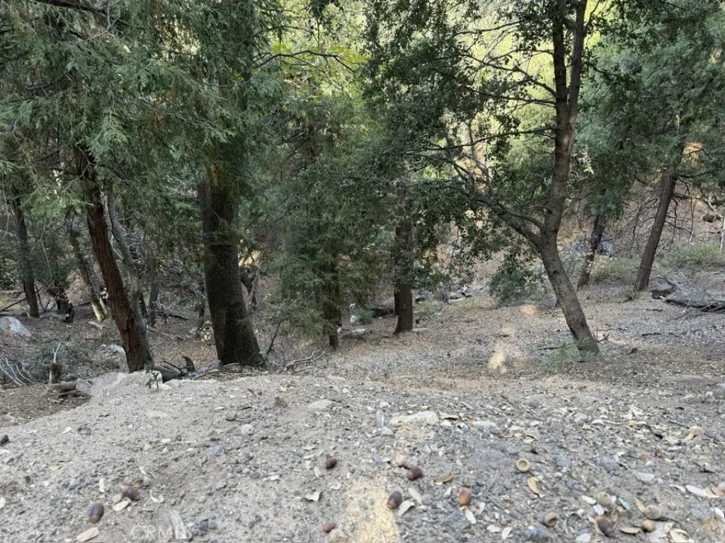 Picture 3