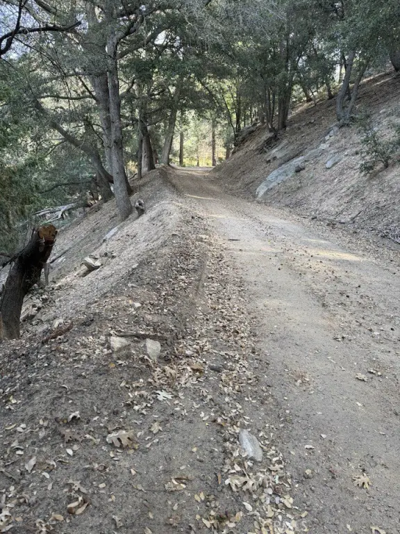 Picture 9