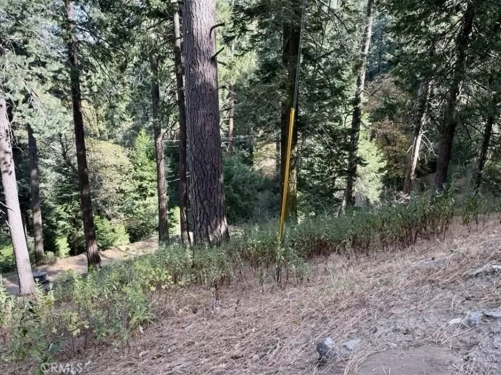 Picture 7