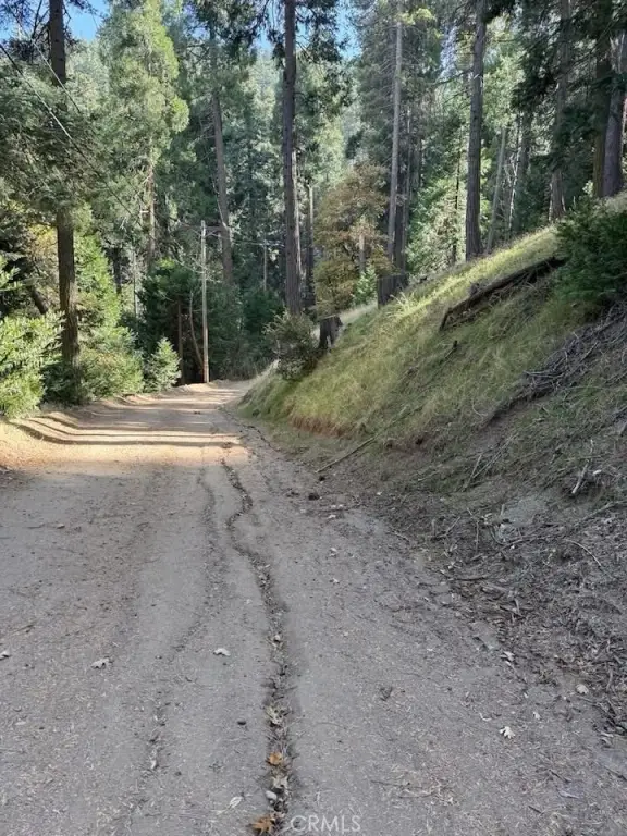 Picture 9