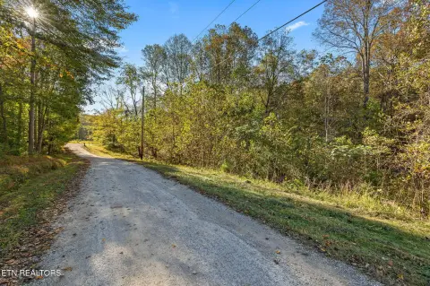 Wooded Land Near Dale Hollow Lake