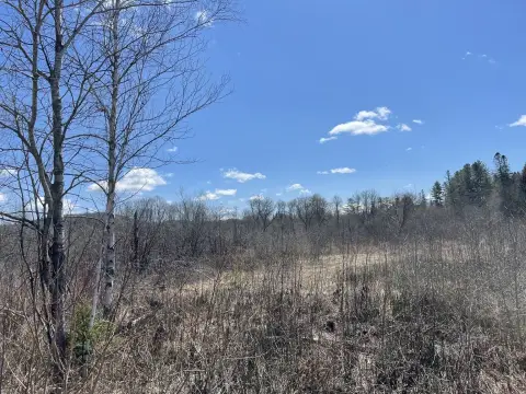 Commercially Zoned Land with Visibility