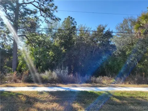 Commercial Land on Suncoast Boulevard