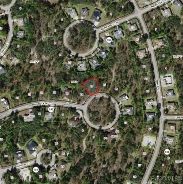 Homosassa Land For Sale