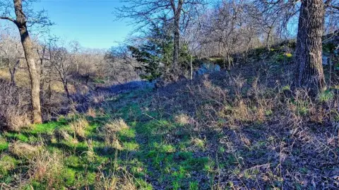 Nocona, TX Land with Ponds