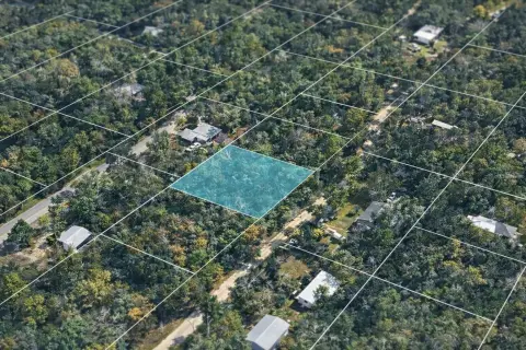 Hernando, FL Land Opportunity