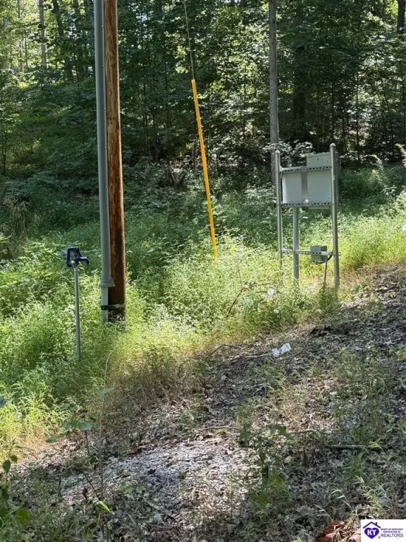 Picture 4