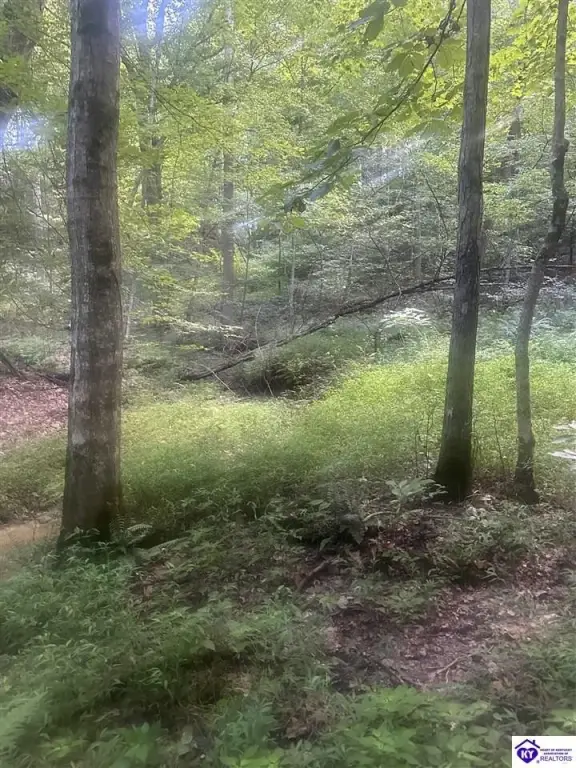 Picture 8