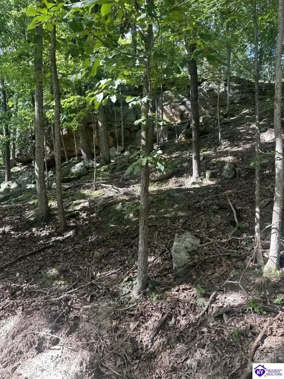 Picture 2