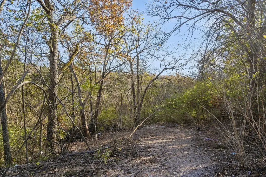 Picture 22