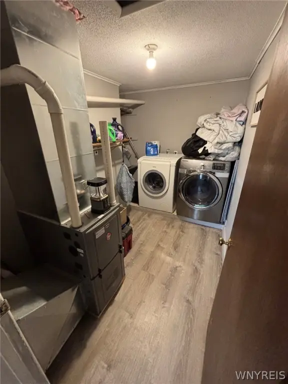 Picture 28