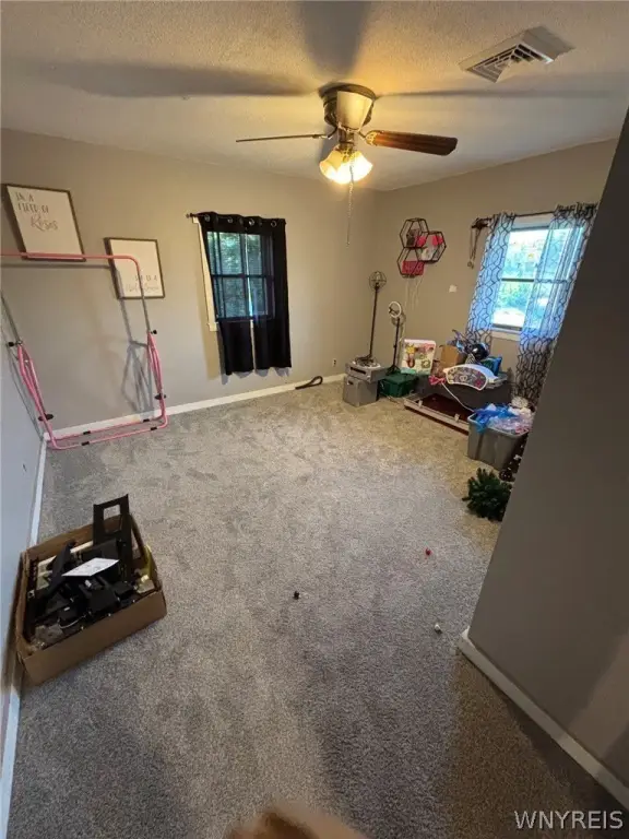 Picture 38