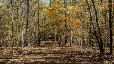 Chattahoochee Hills Land Opportunity