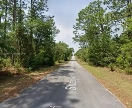 Residential Lot in Dunnellon, FL
