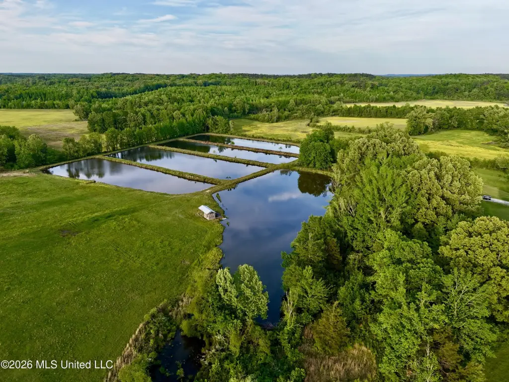 Picture 24