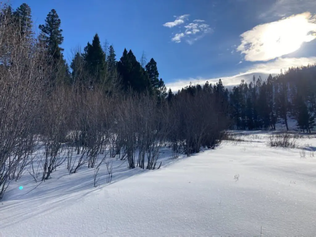 Picture 21