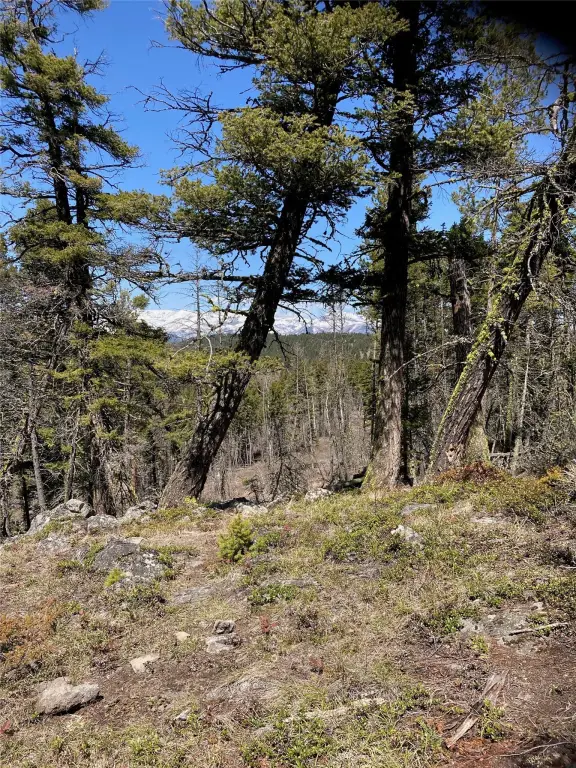 Picture 18