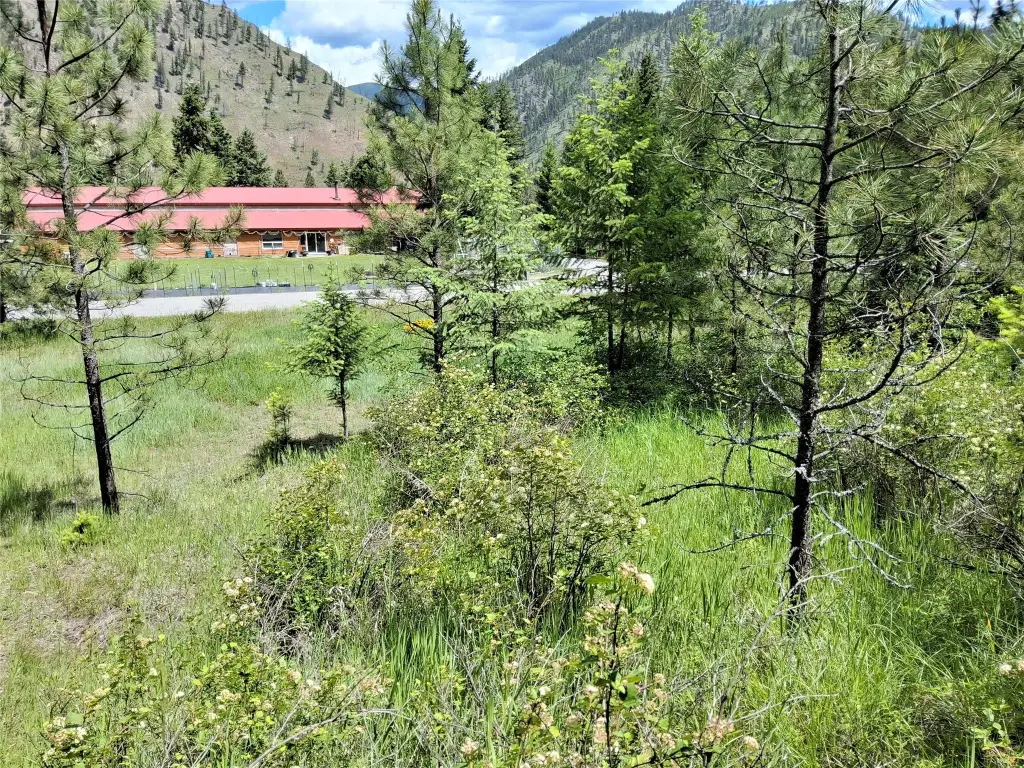 Picture 10