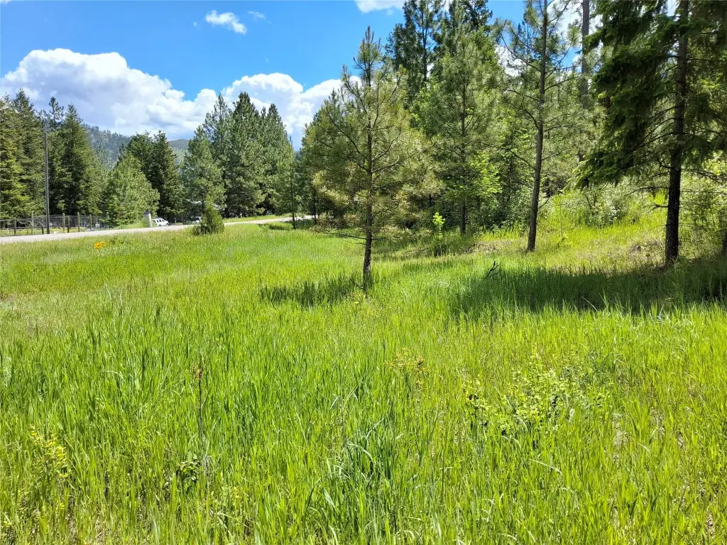Picture 25