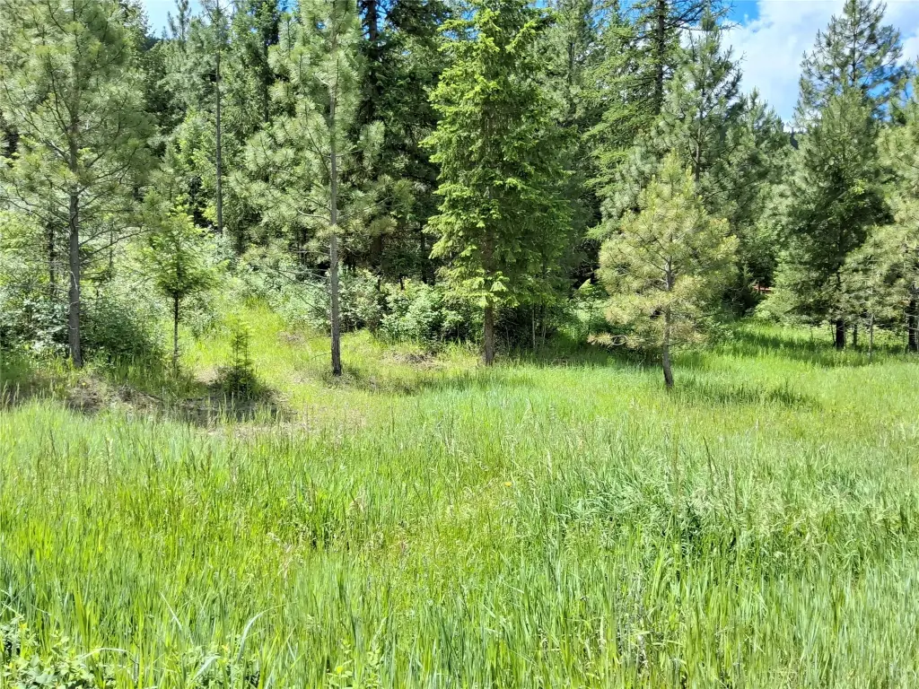 Picture 4