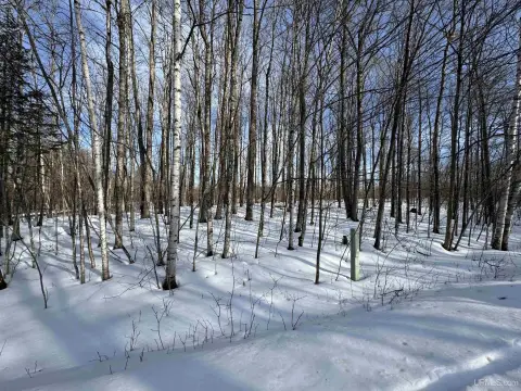 Iron River Vacant Corner Lot