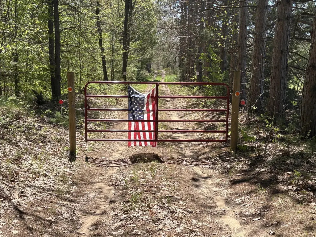 Picture 6