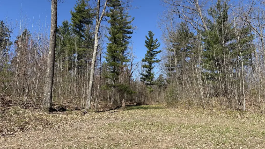Picture 38