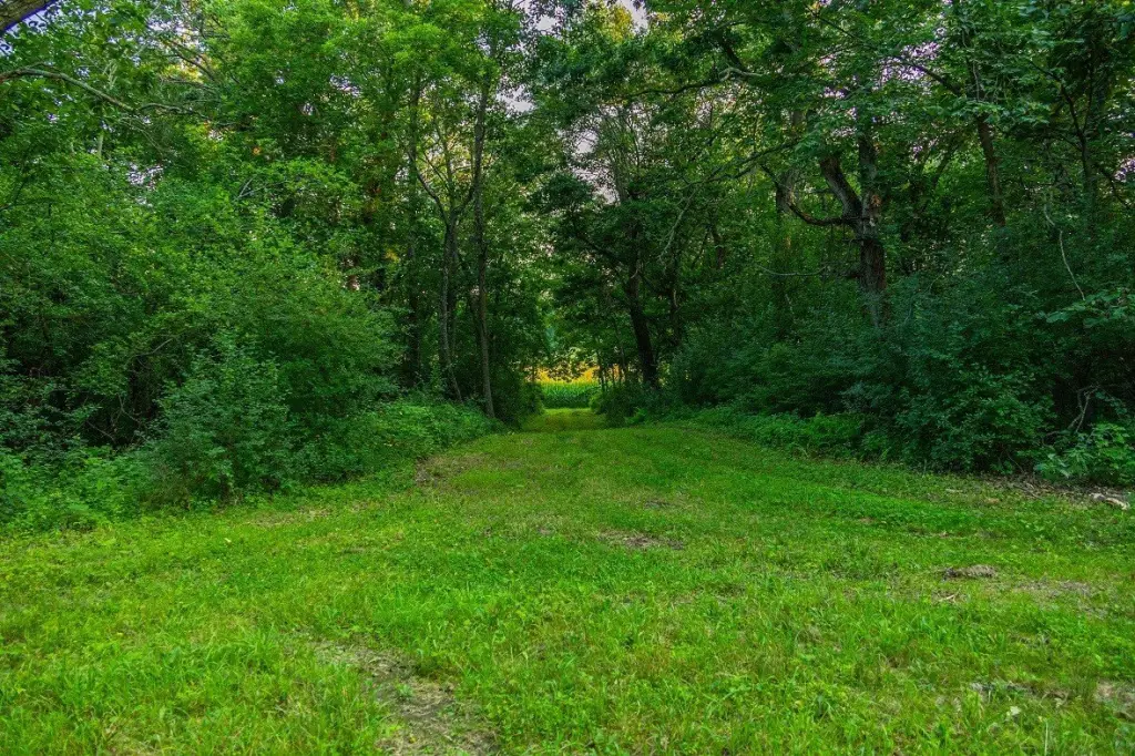 Picture 33