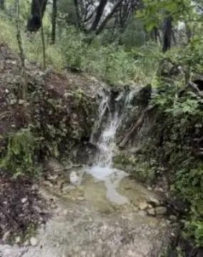 Medina, TX Hunting/Recreational Land